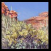 Arizona
Lone Saguarro
Available for Sale